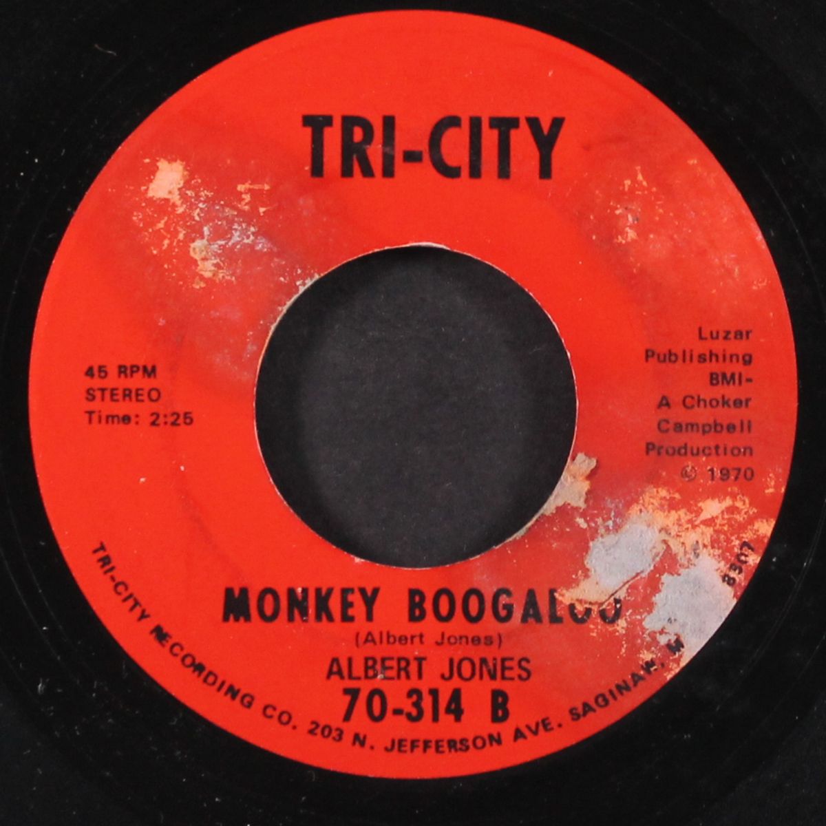 it's going to be a lovely summer / monkey boogaloo by ALBERT JONES