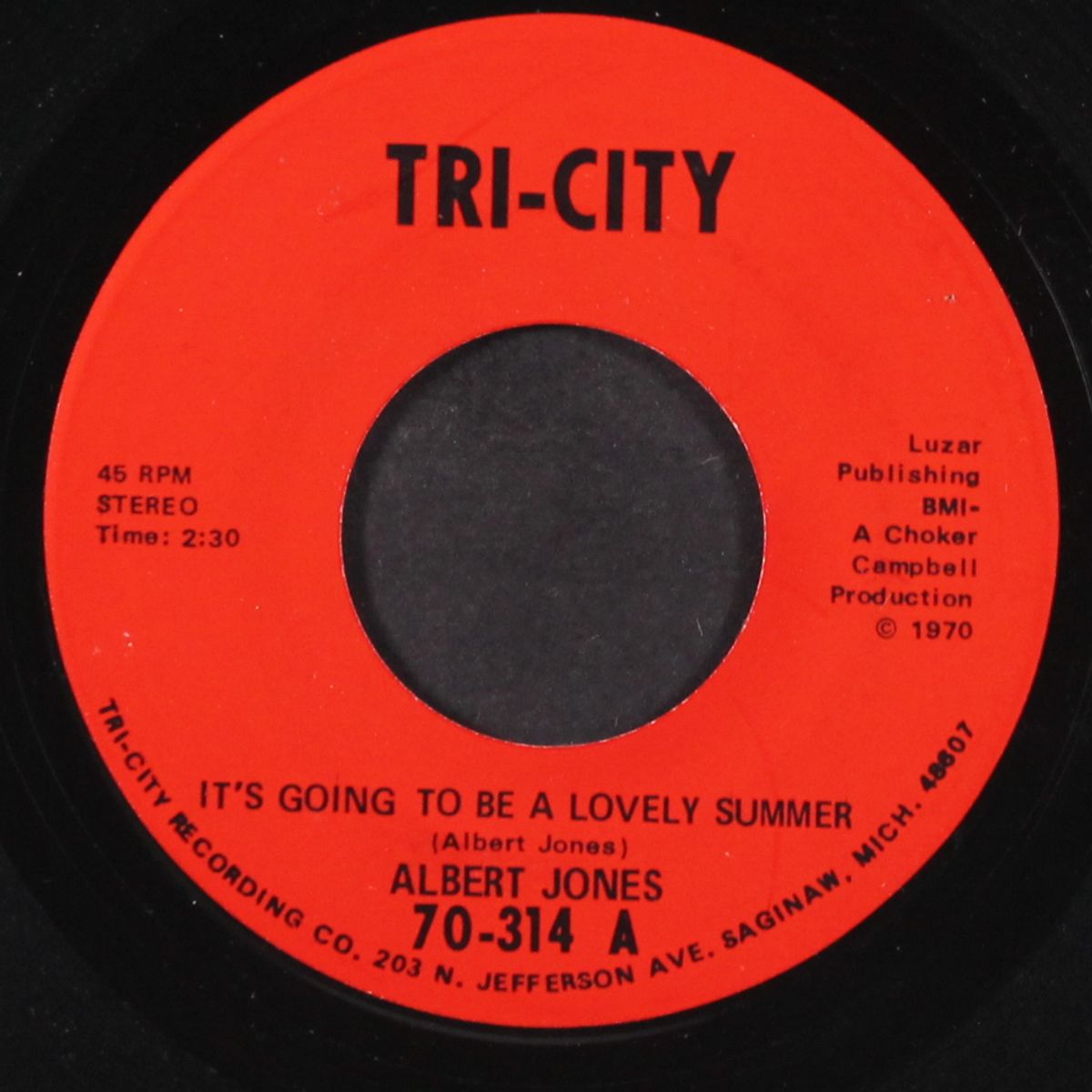 it's going to be a lovely summer / monkey boogaloo by ALBERT JONES