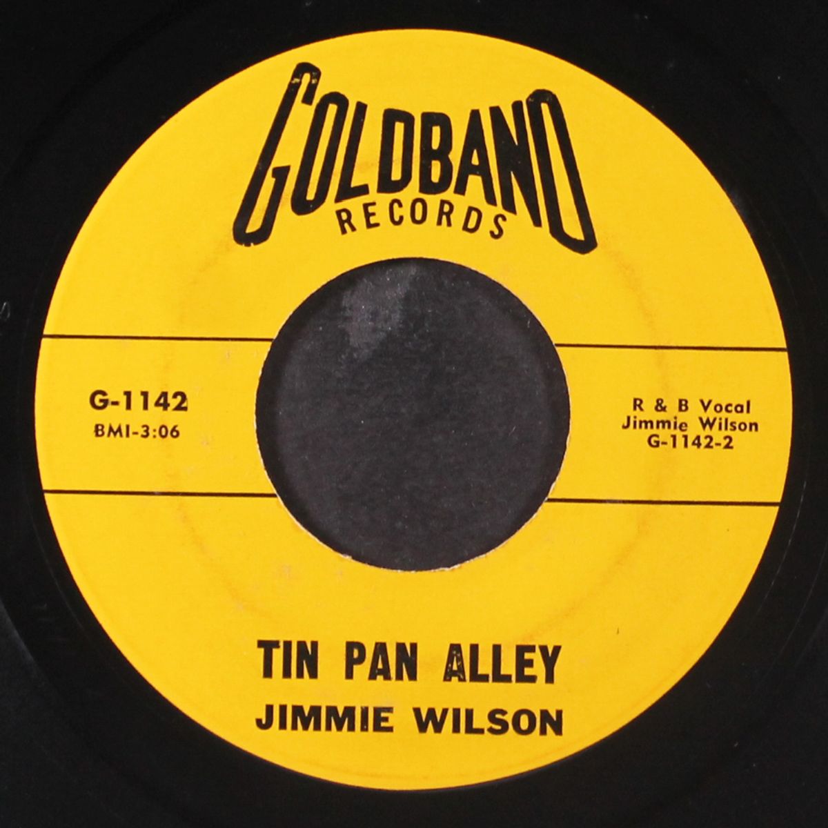 nobody but you / tin pan alley by JIMMIE WILSON