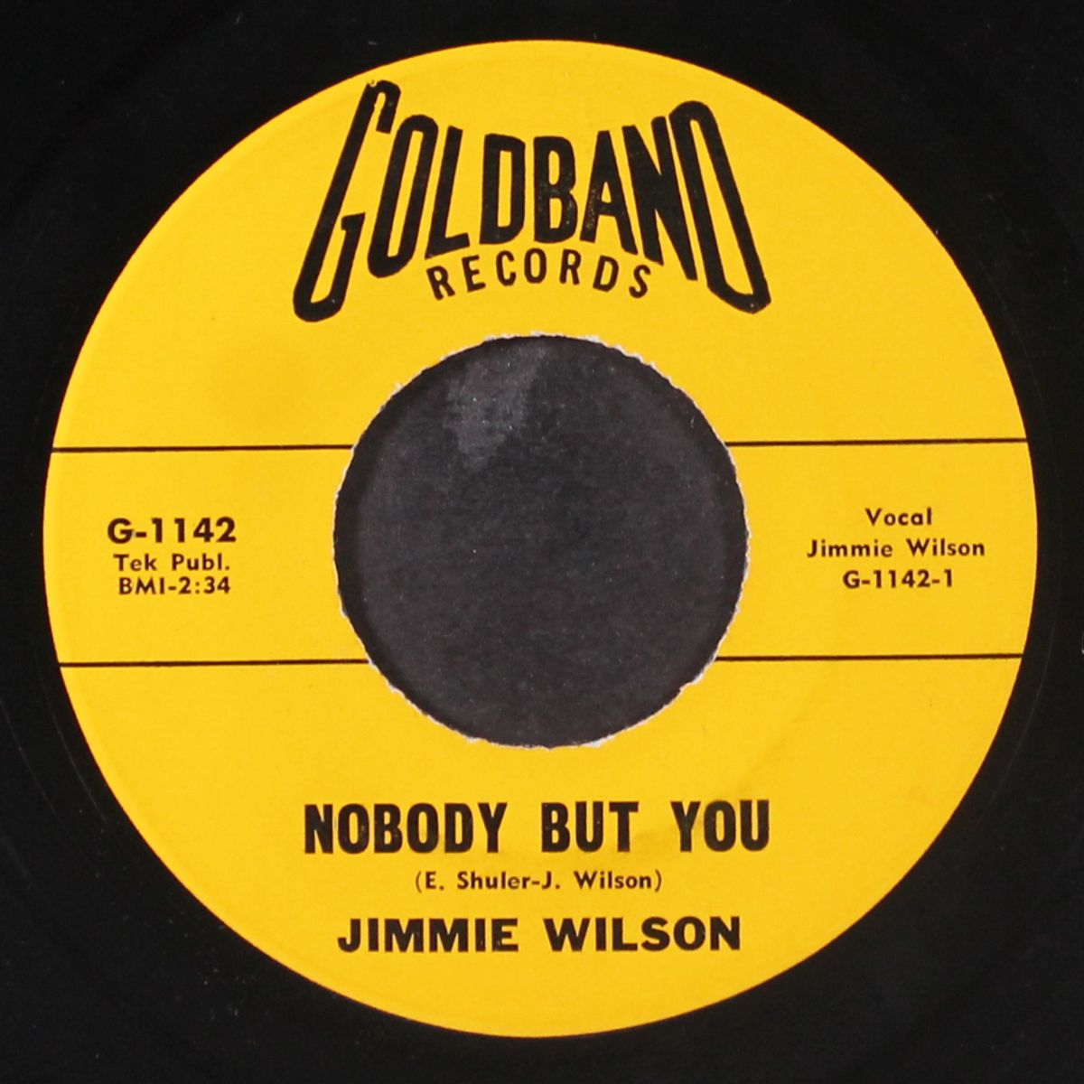nobody but you / tin pan alley by JIMMIE WILSON