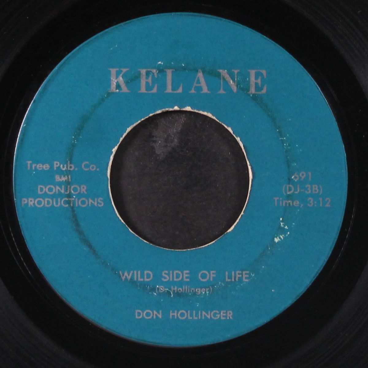 wild side of life by DON HOLLINGER