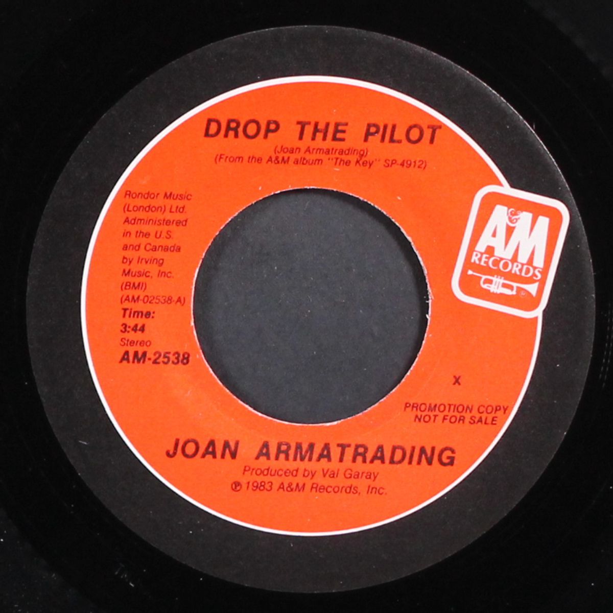 drop the pilot / same by JOAN ARMATRADING