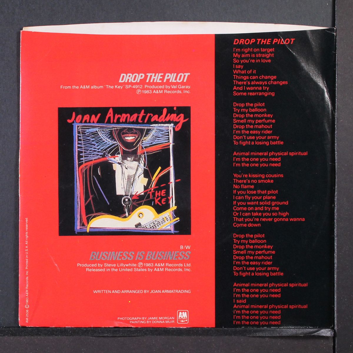 drop the pilot / same by JOAN ARMATRADING