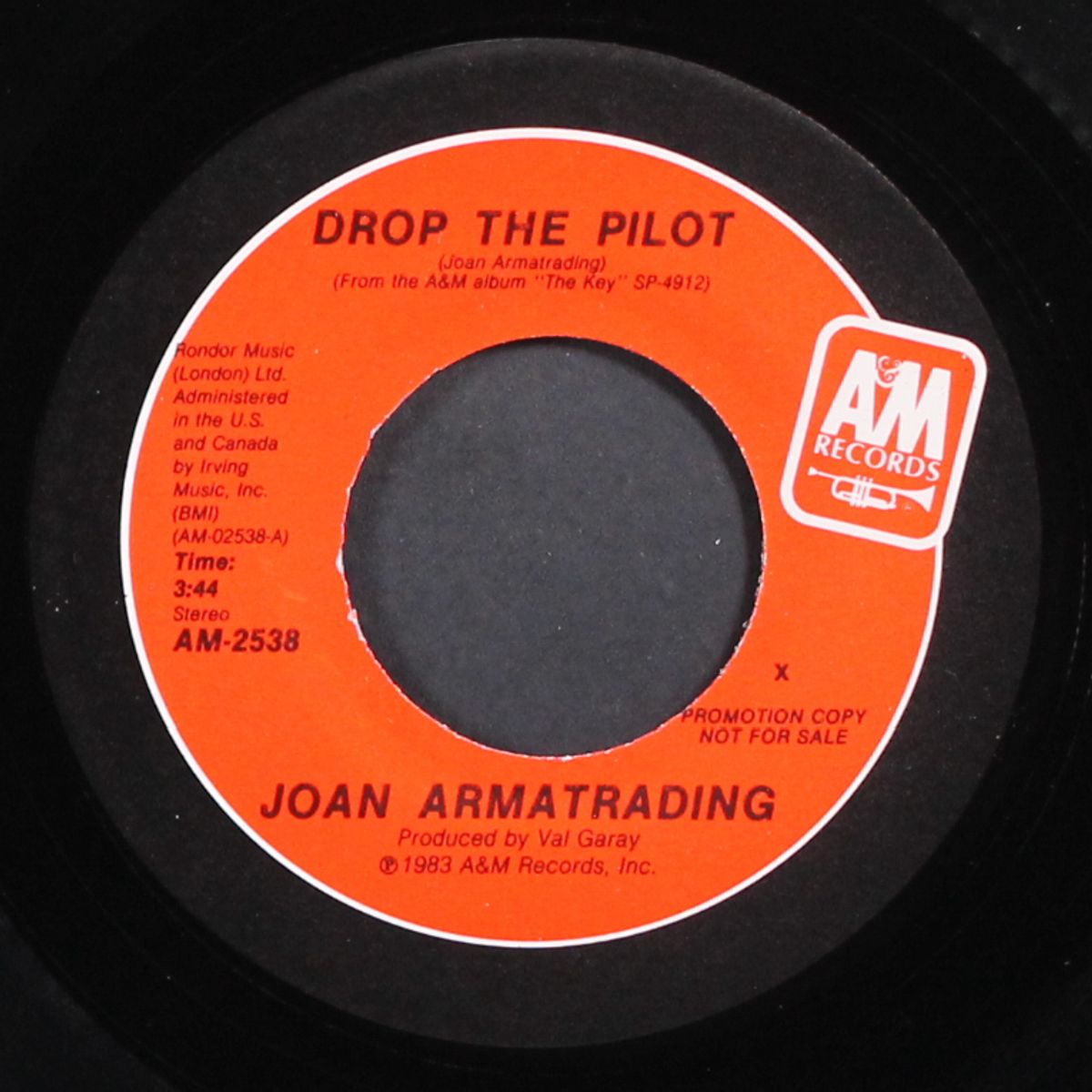 drop the pilot / same by JOAN ARMATRADING