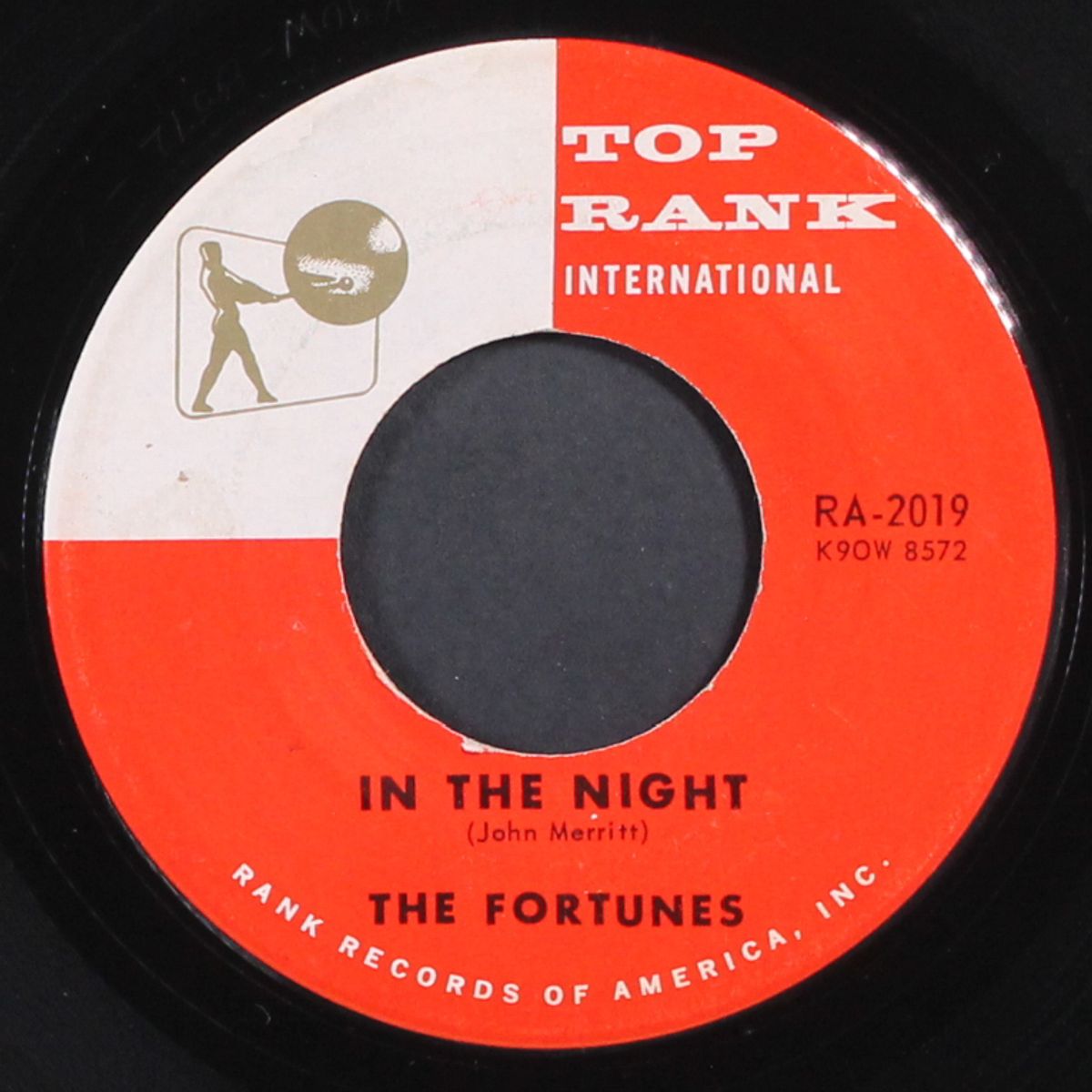 steady vows / in the night by FORTUNES