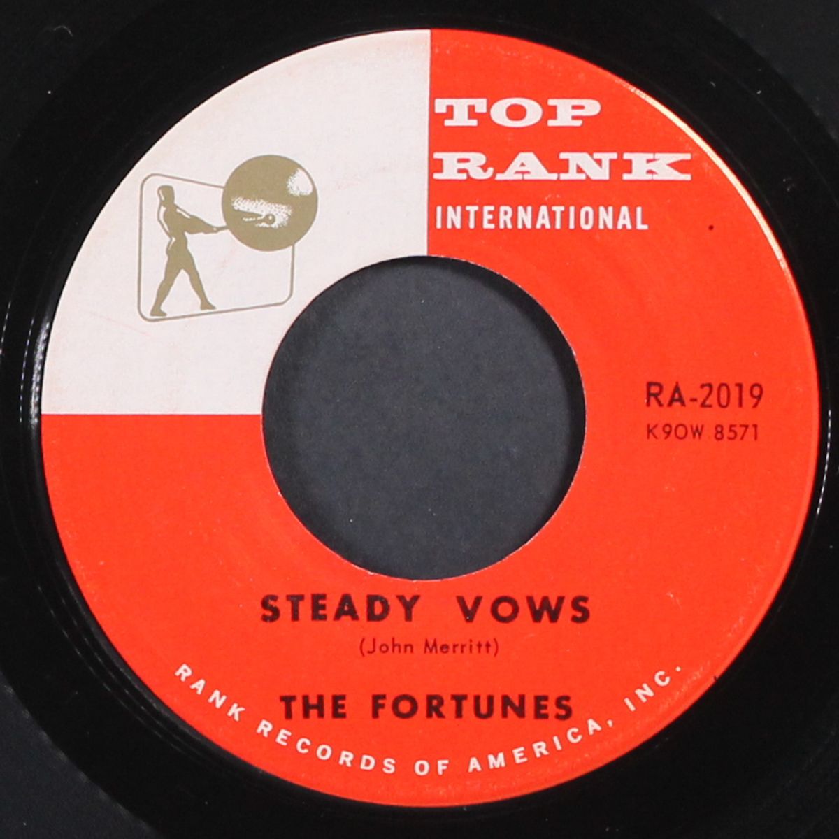 steady vows / in the night by FORTUNES