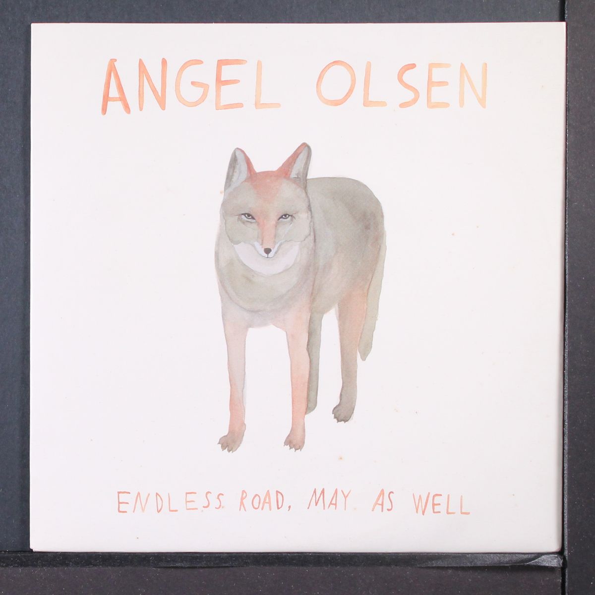 endless road / may as well by ANGEL OLSEN