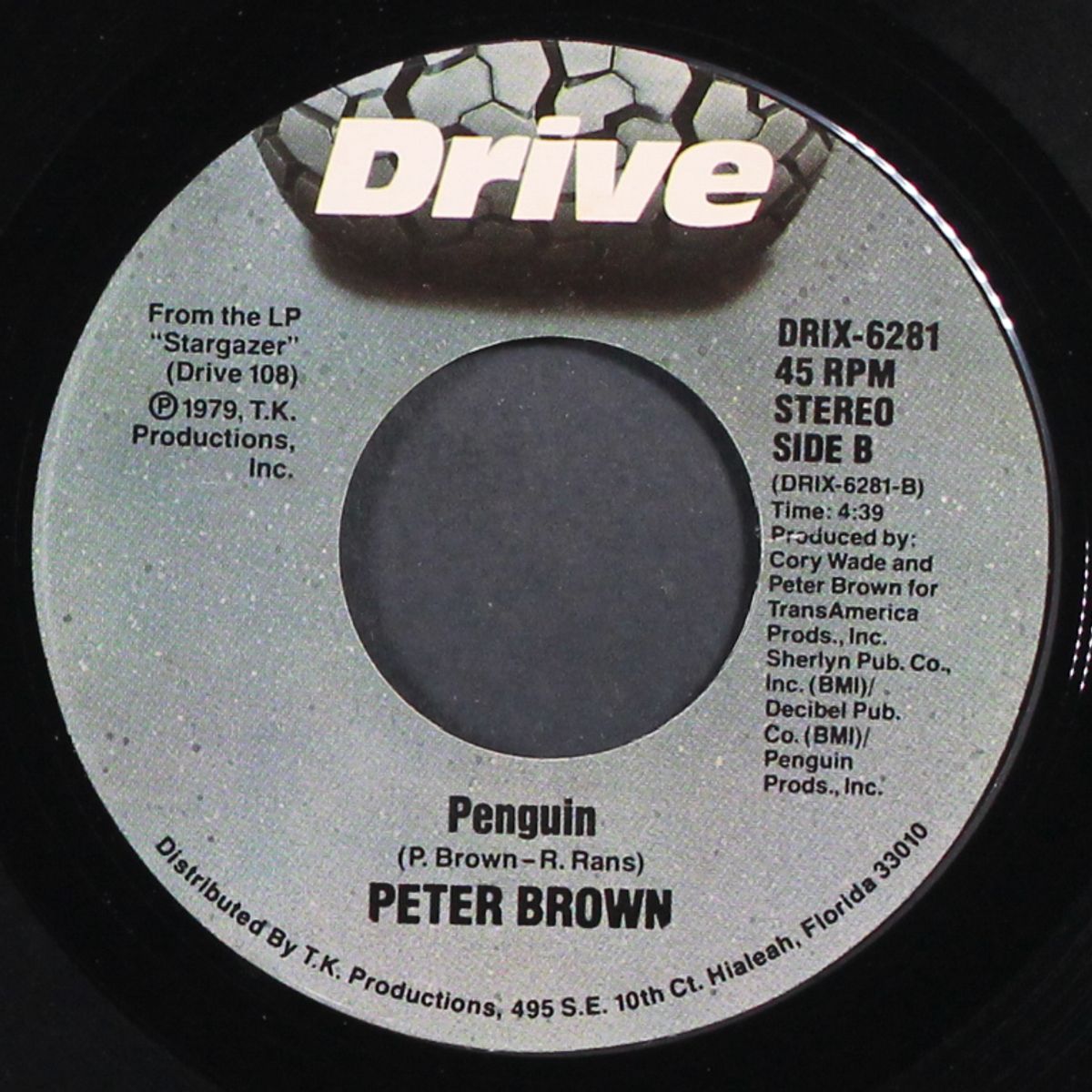 stargazer / penguin by PETER BROWN