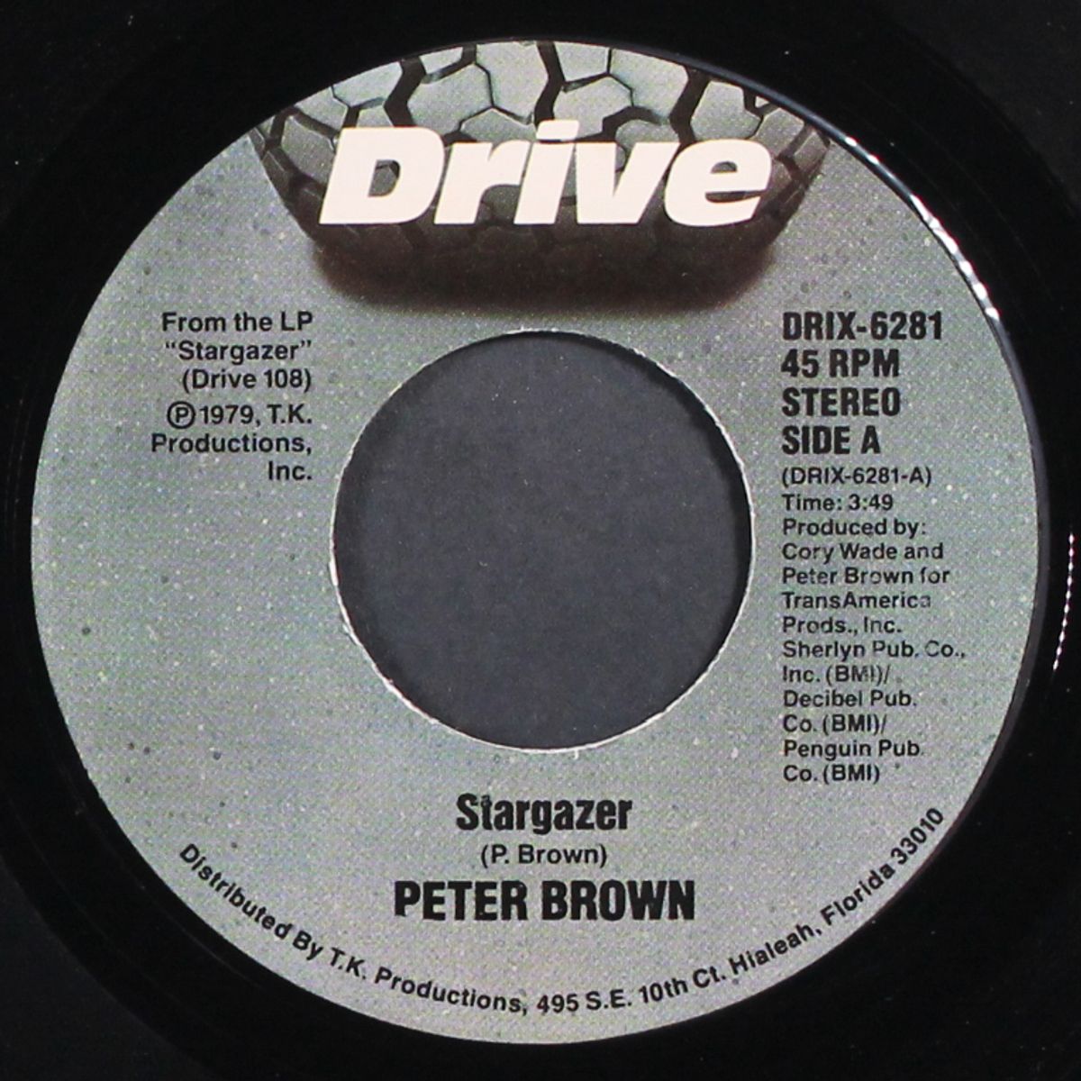 stargazer / penguin by PETER BROWN