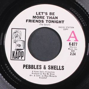 PEBBLES & SHELLS