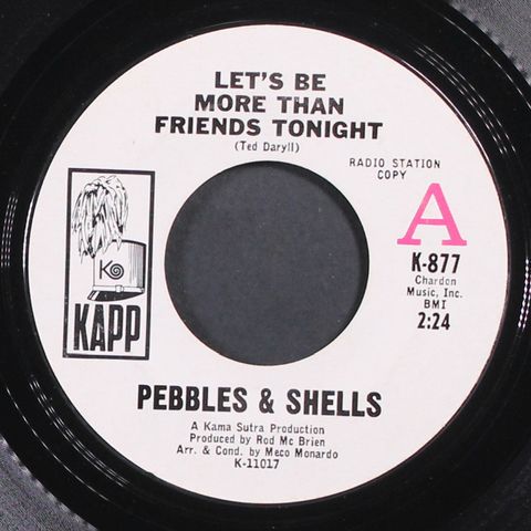 PEBBLES & SHELLS