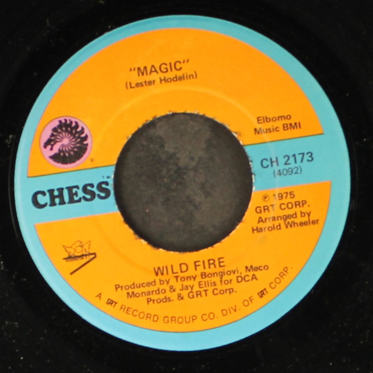 magic / put some more flavor by WILD FIRE
