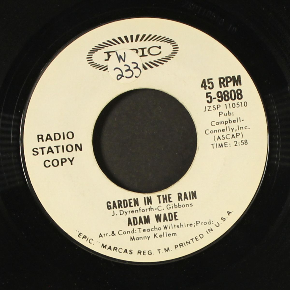 garden in the rain / play some music for broken hearts by ADAM WADE