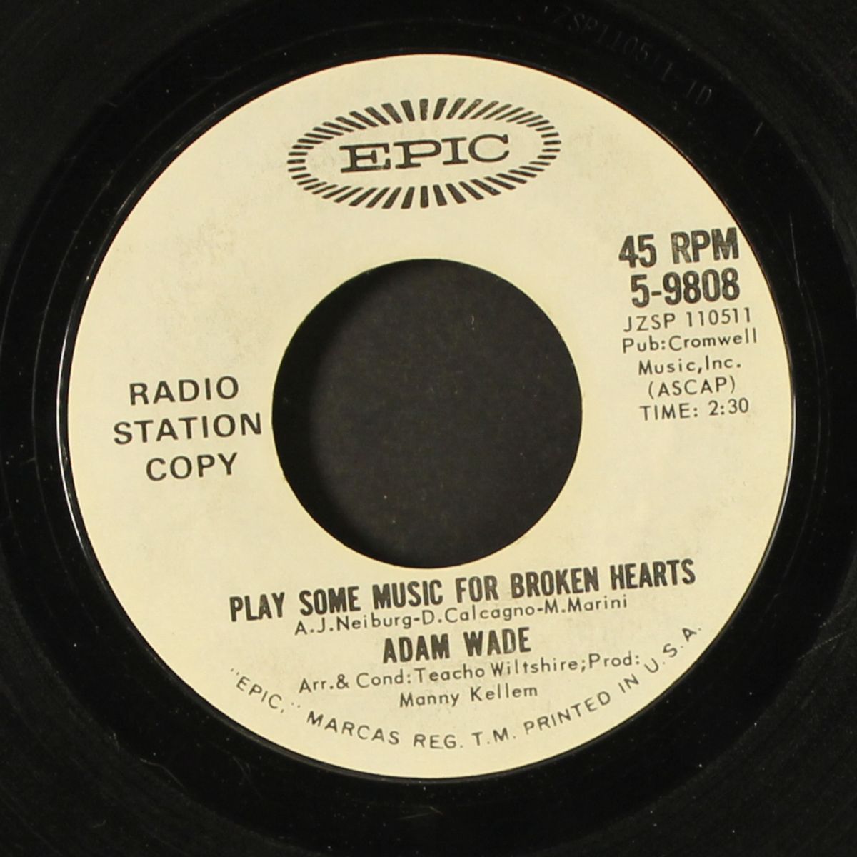 garden in the rain / play some music for broken hearts by ADAM WADE