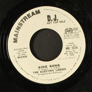 ELECTRIC LADIES