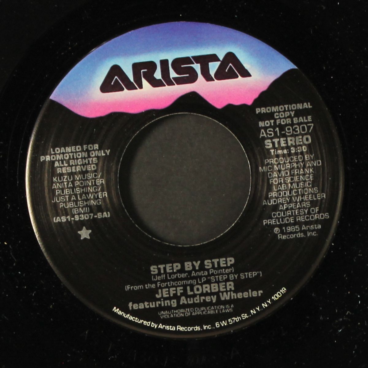 step by step / same by JEFF LORBER