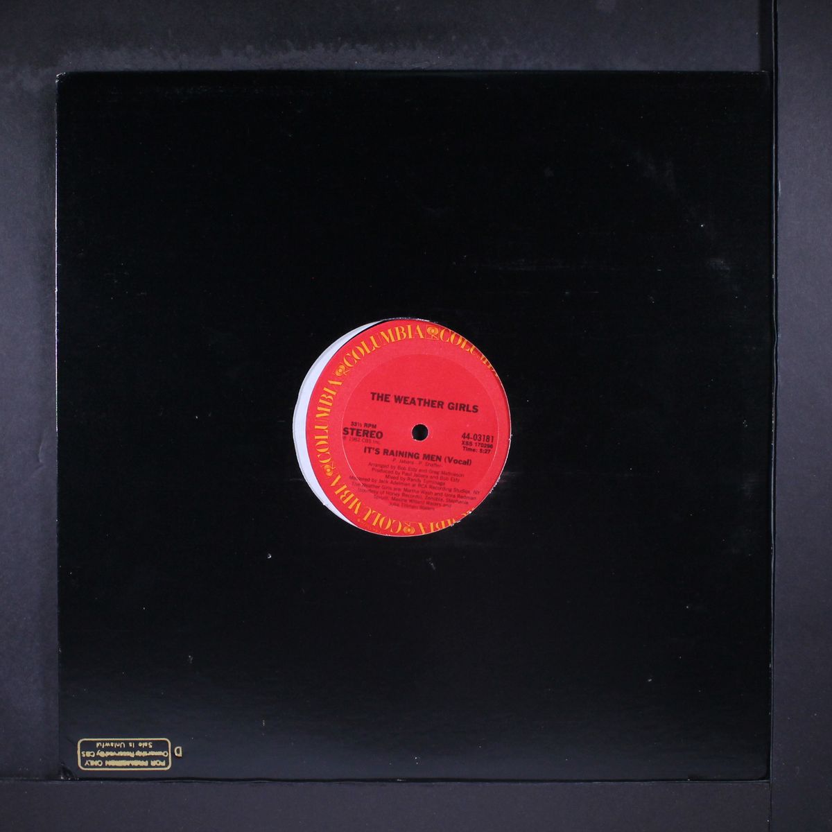it's raining men / instro by WEATHER GIRLS