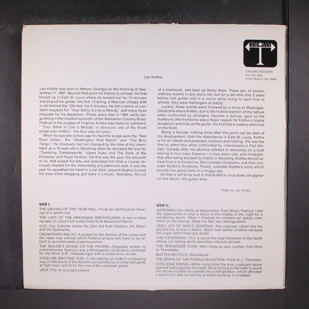 6 & 12 string guitar by LEO KOTTKE