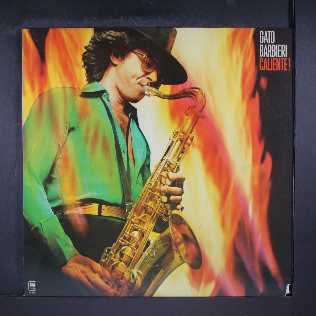 caliente! by GATO BARBIERI