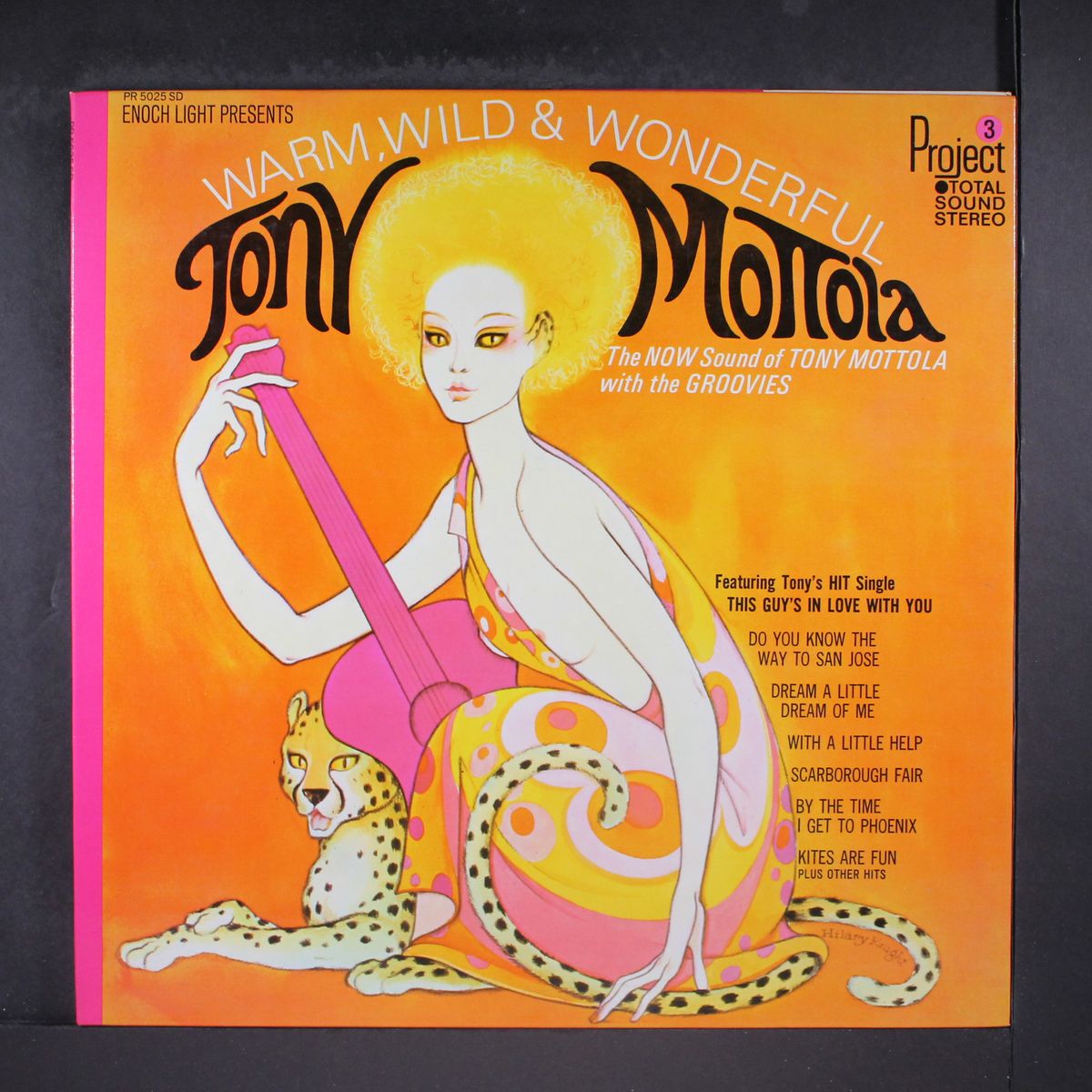 warm, wild & wonderful by TONY MOTTOLA