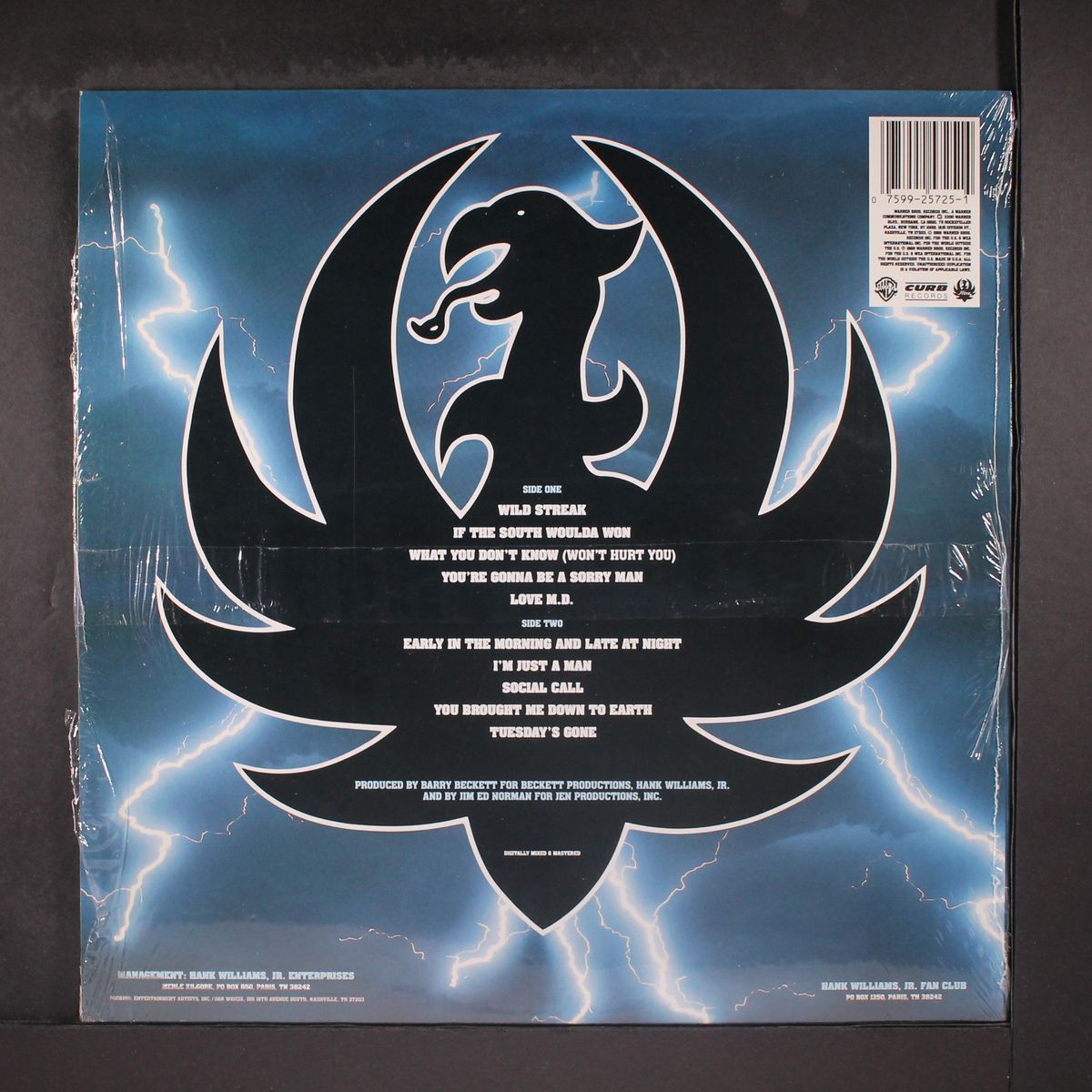 wild streak by HANK WILLIAMS, JR.