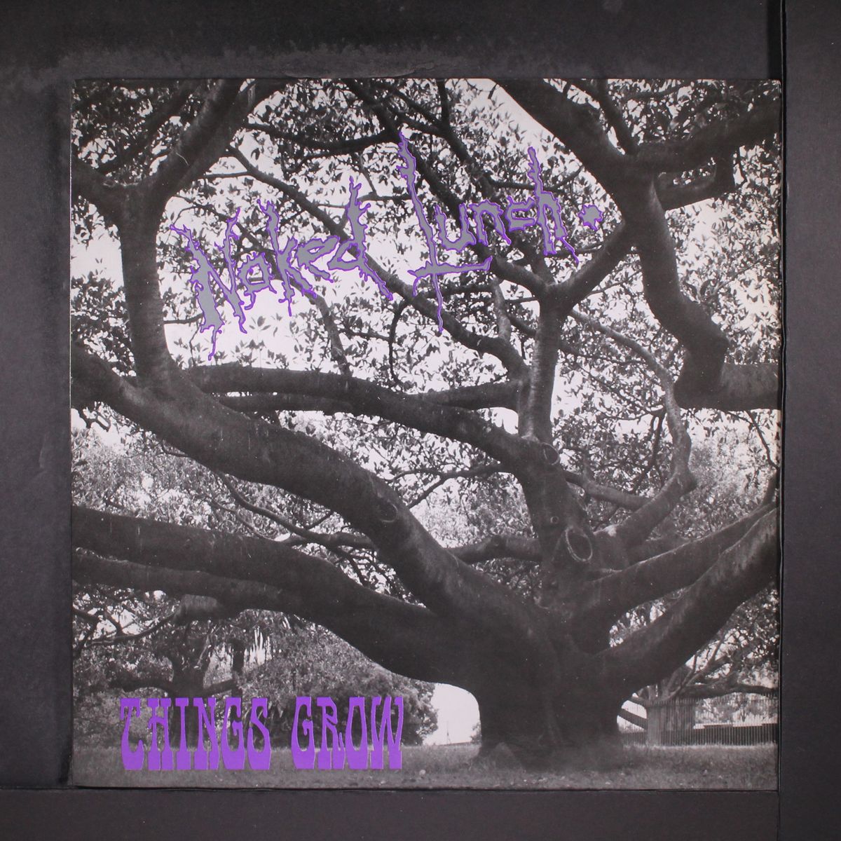 things grow by NAKED LUNCH