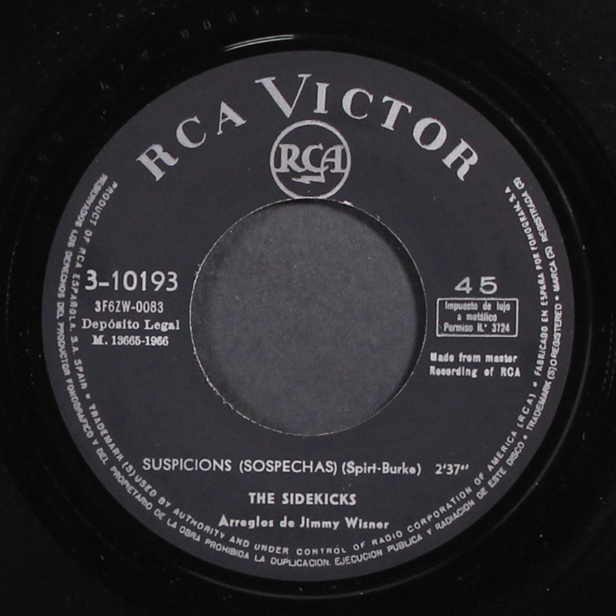 suspicions / up on the roof by SIDEKICKS
