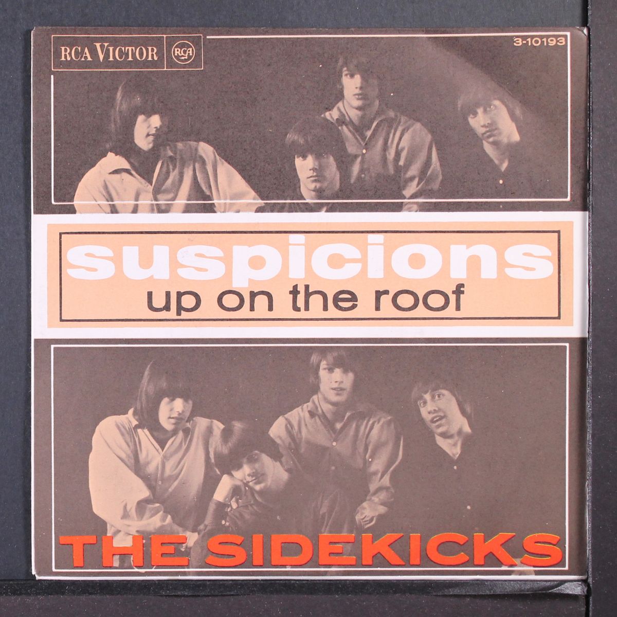 suspicions / up on the roof by SIDEKICKS