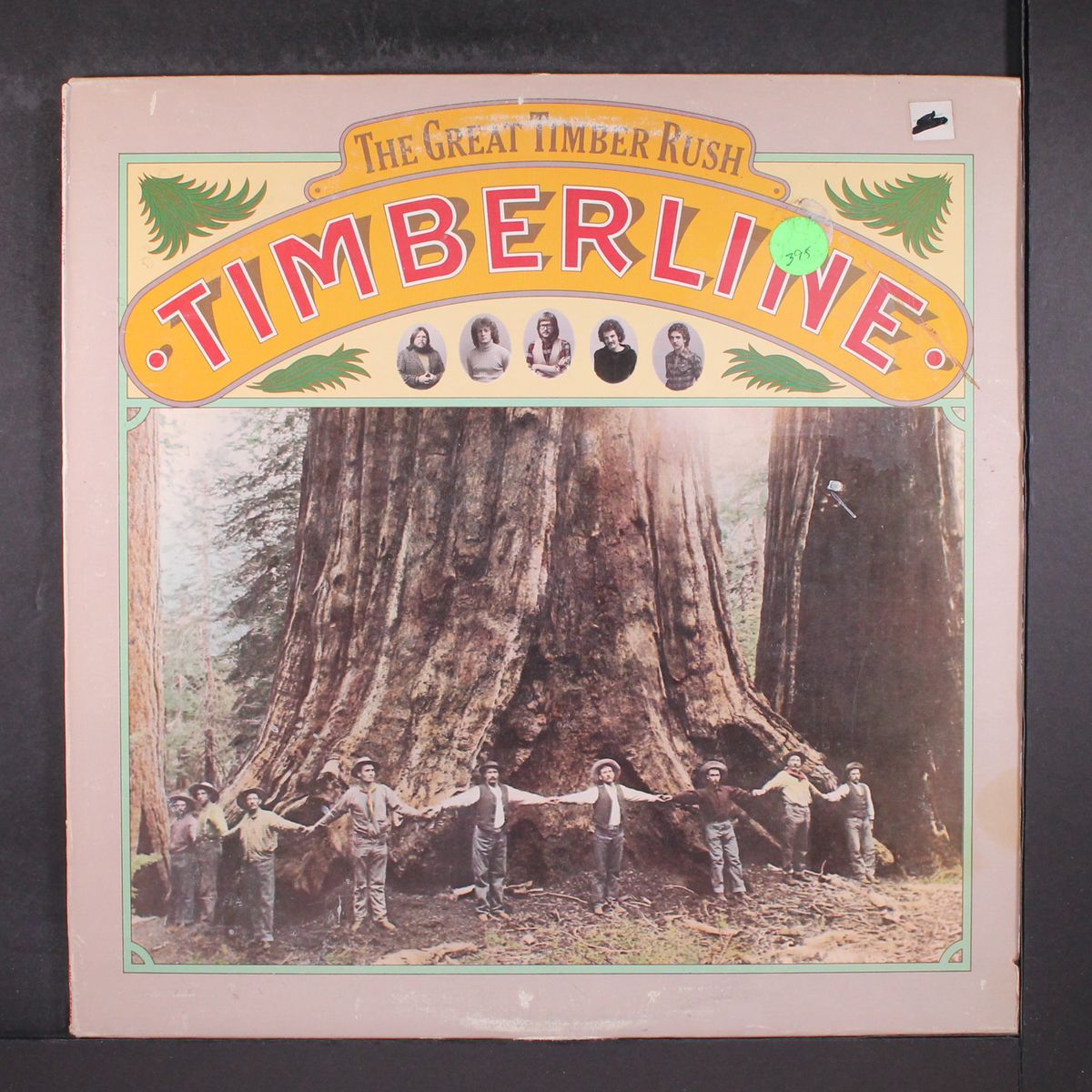 the great timber rush by TIMBERLINE