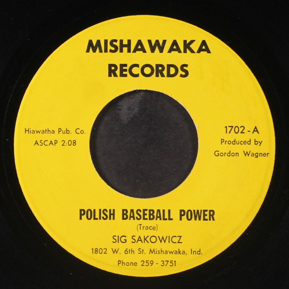 polish baseball power / true to the red, white, and blue by SIG SAKOWICZ