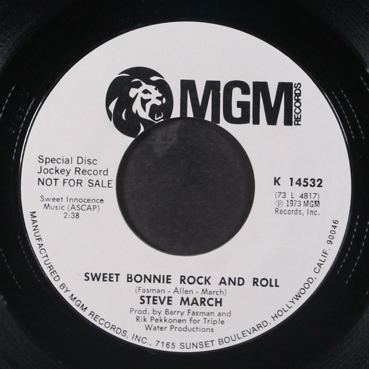 sweet bonnie rock and roll by STEVE MARCH