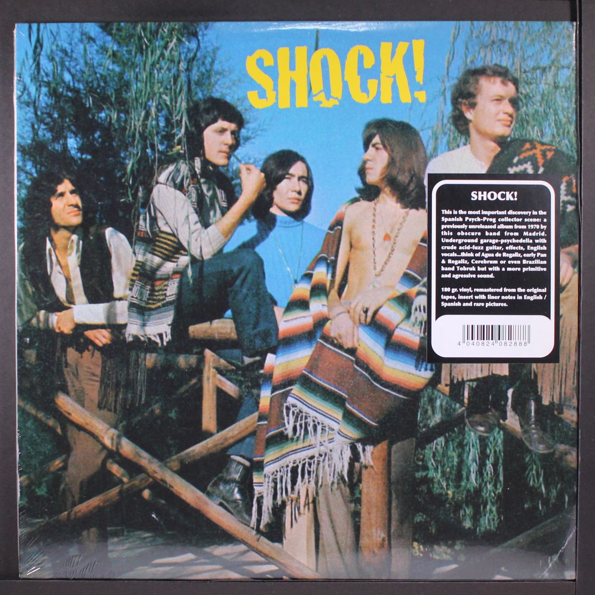 shock! by SHOCK!