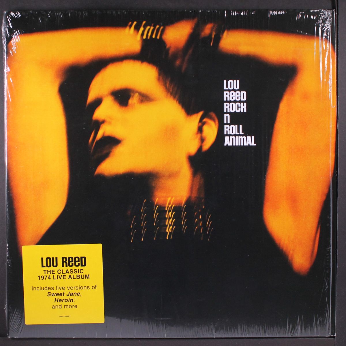 rock n roll animal by LOU REED