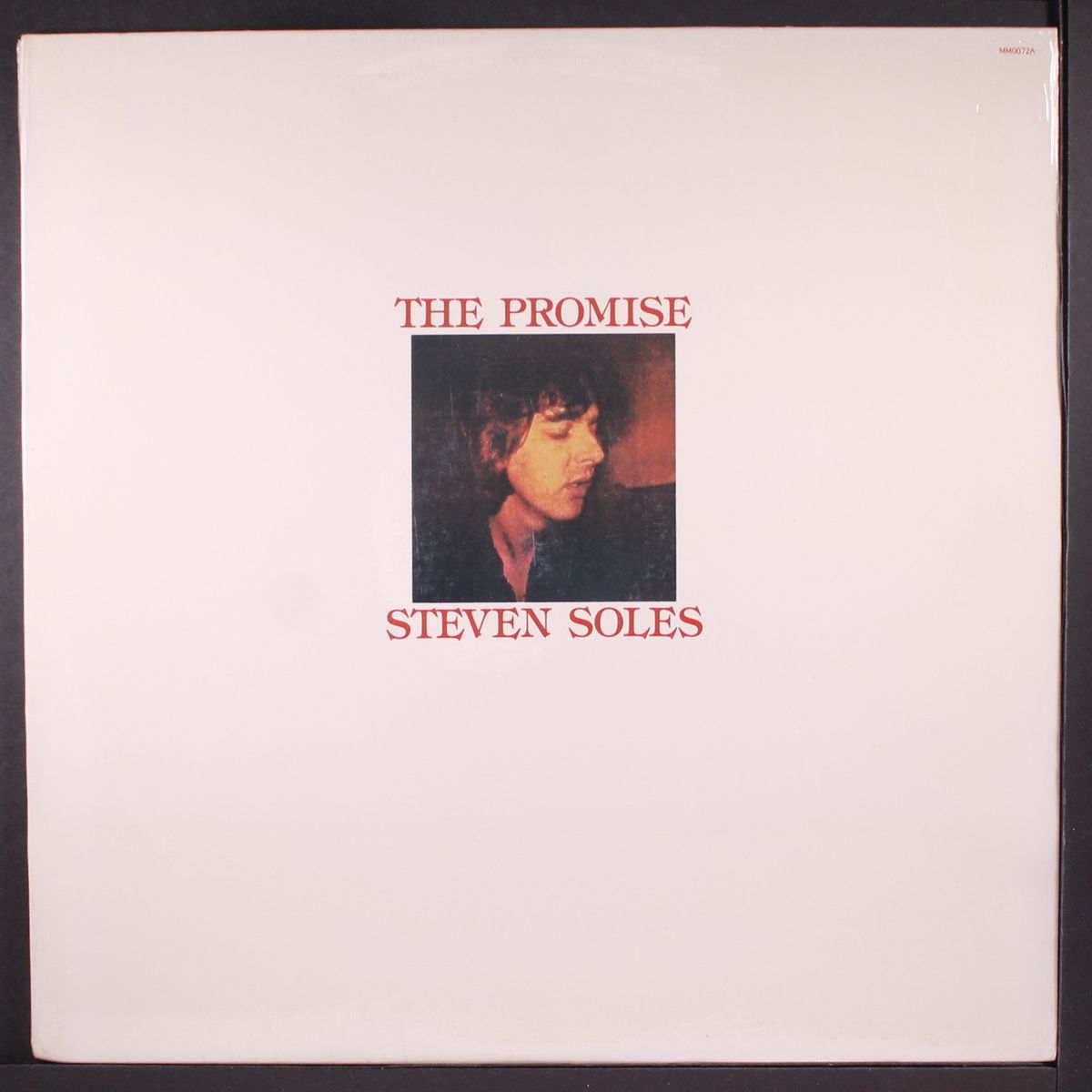 the promise by STEVEN SOLES