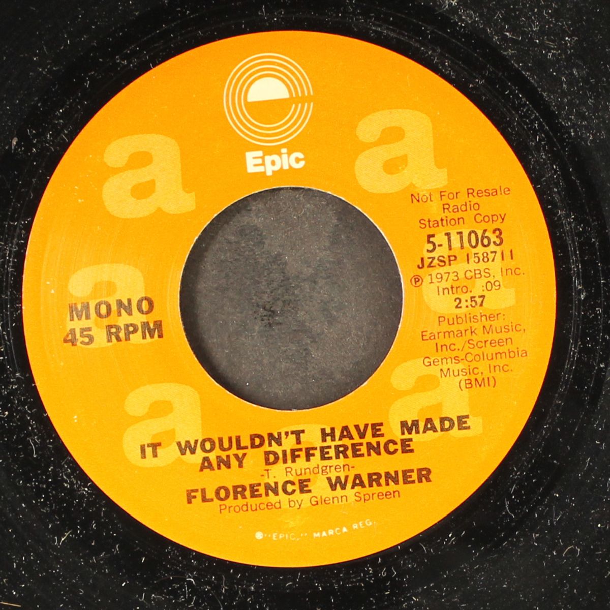 it wouldn't have made any difference / mono by FLORENCE WARNER