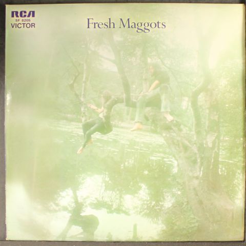FRESH MAGGOTS