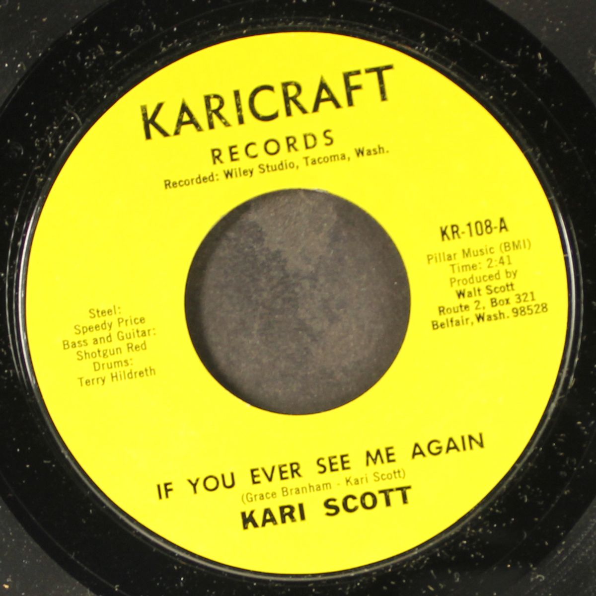 if you ever see me again / joker is your name by KARI SCOTT
