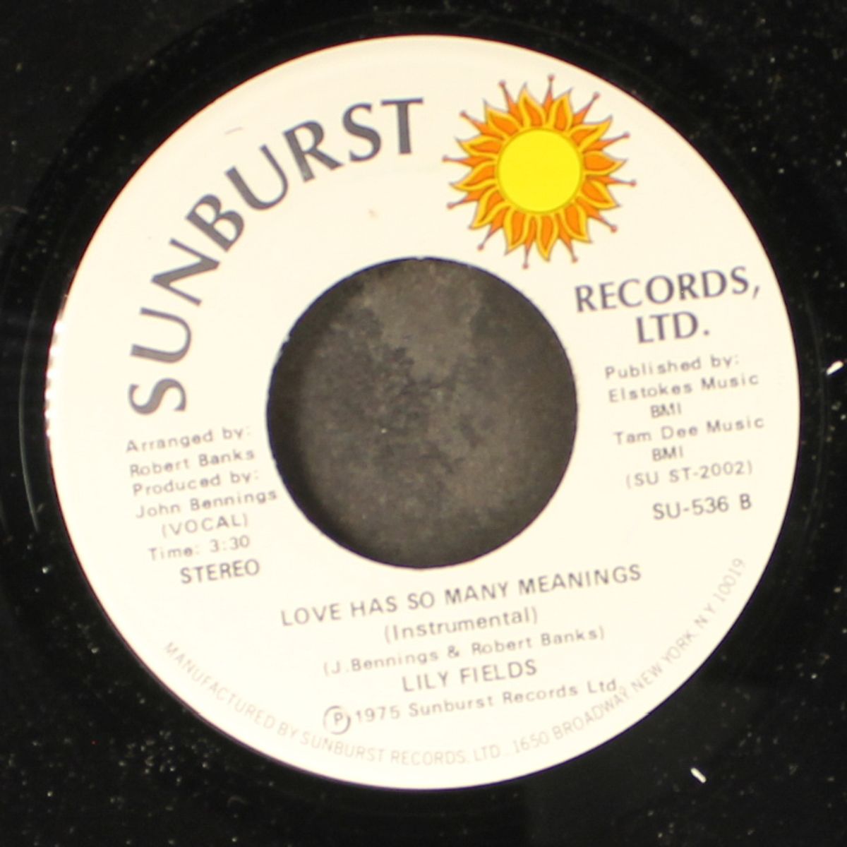 love has so many meanings / instrumental by LILY FIELDS