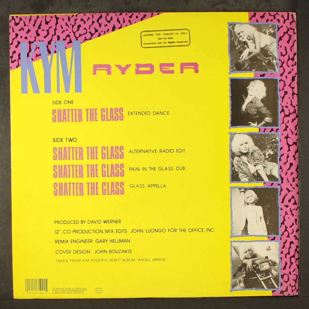 shatter the glass by KYM RYDER