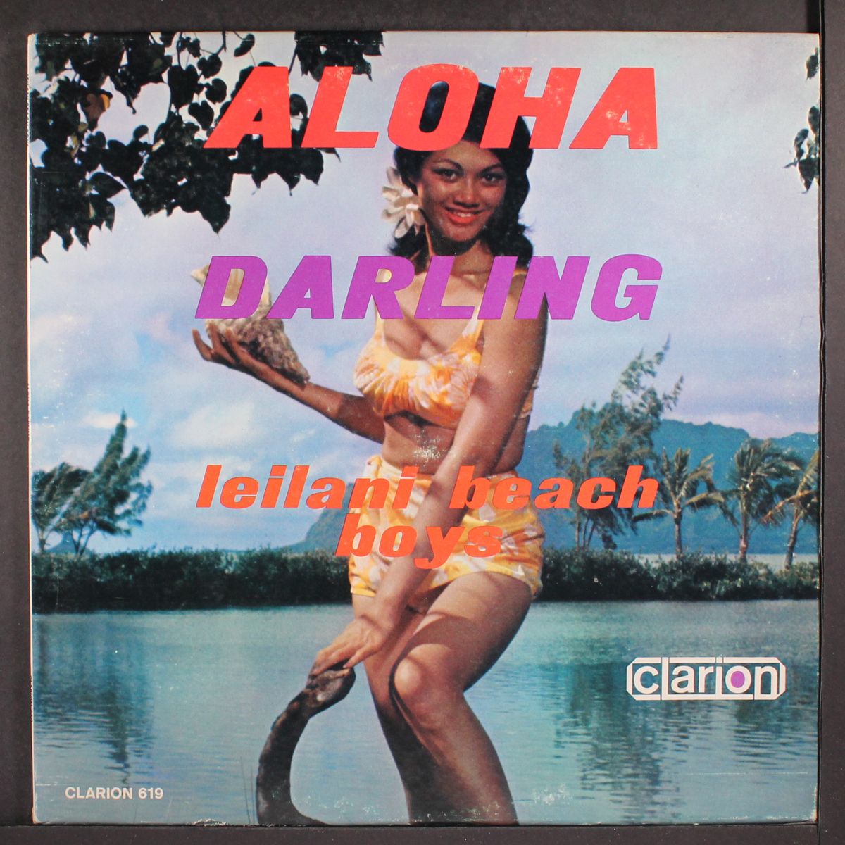 aloha darling by LEILANI BEACH BOYS
