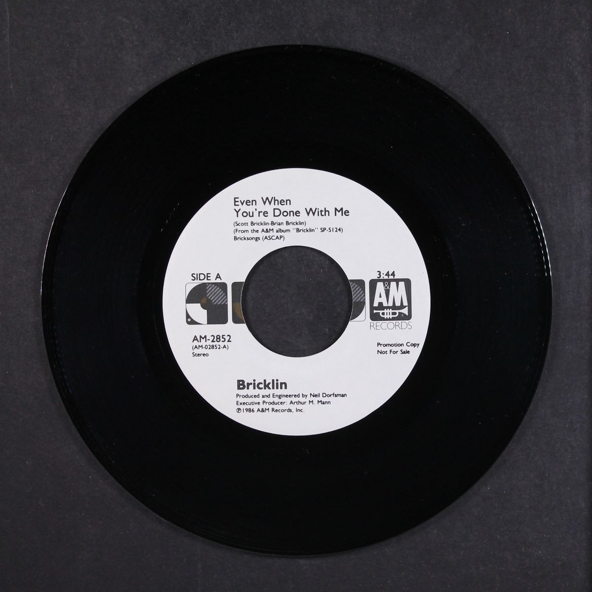 even when you're done with me by BRICKLIN