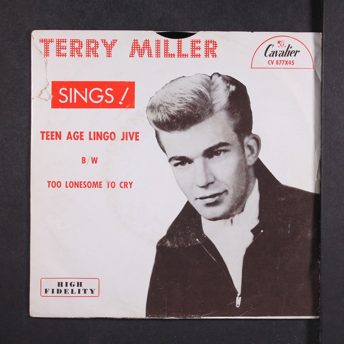 sings! by TERRY MILLER