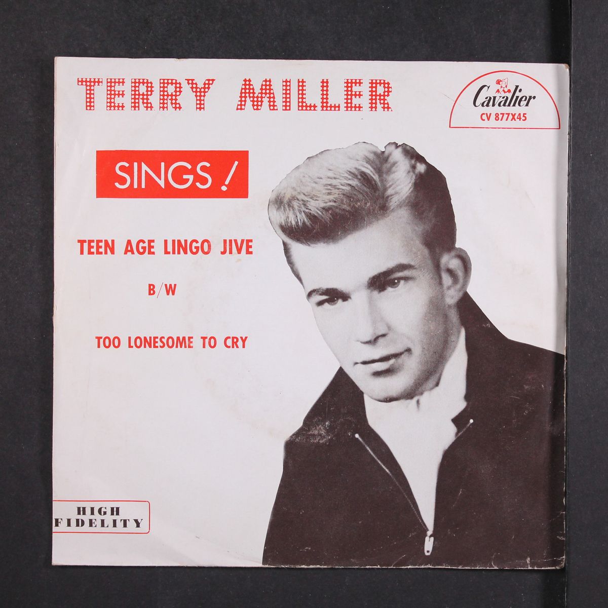 sings! by TERRY MILLER
