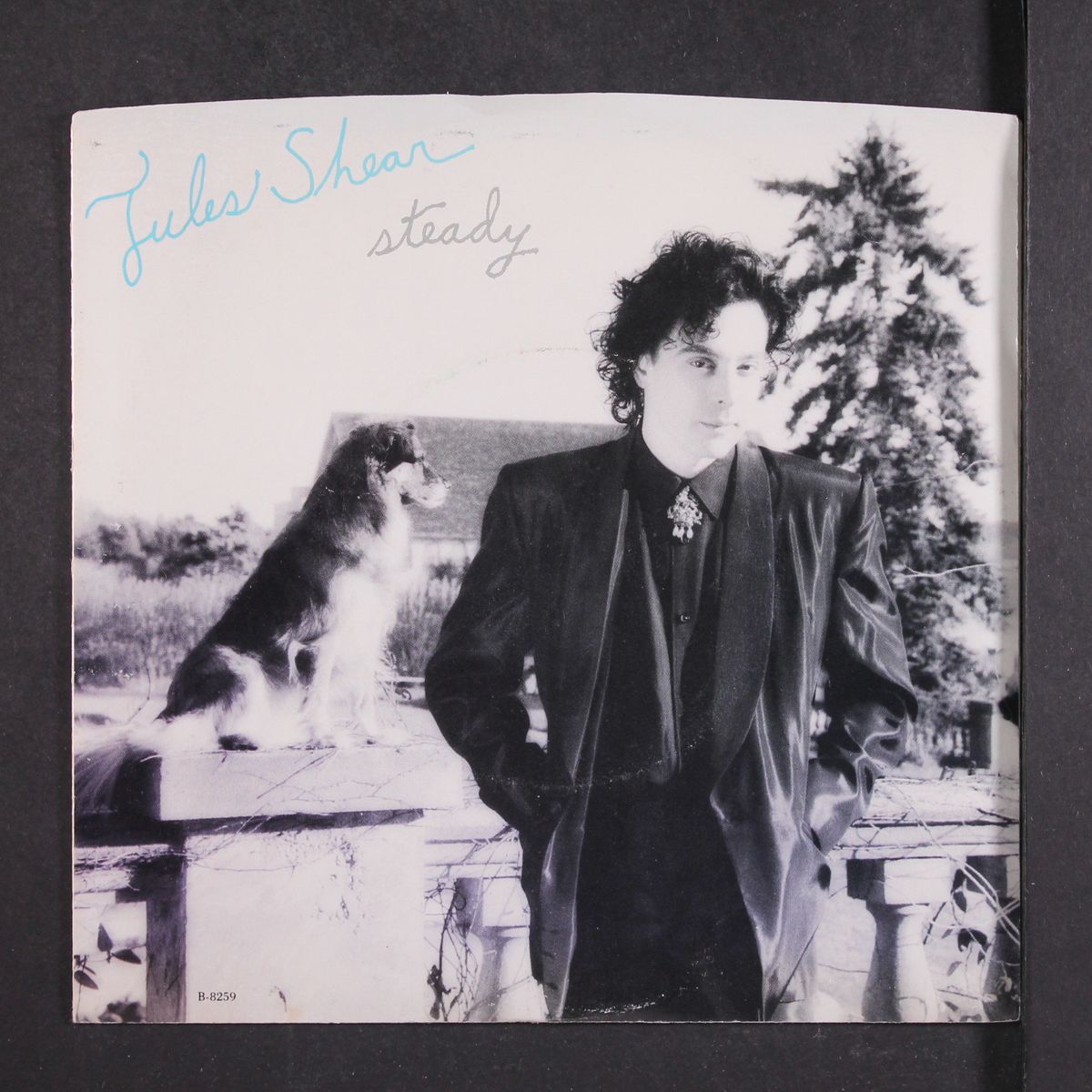 steady / same by JULES SHEAR