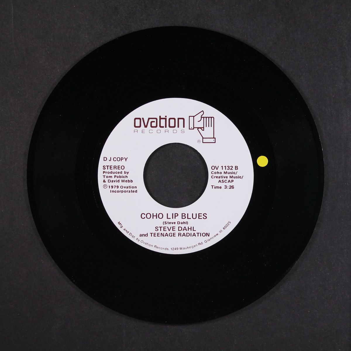 do you think i'm disco by STEVE DAHL & TEENAGE RADIATION