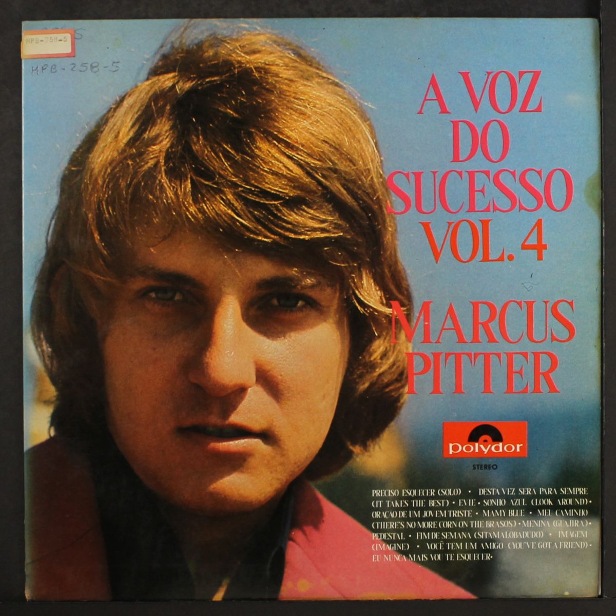 a voz do sucesso vol. 4 by MARCUS PITTER