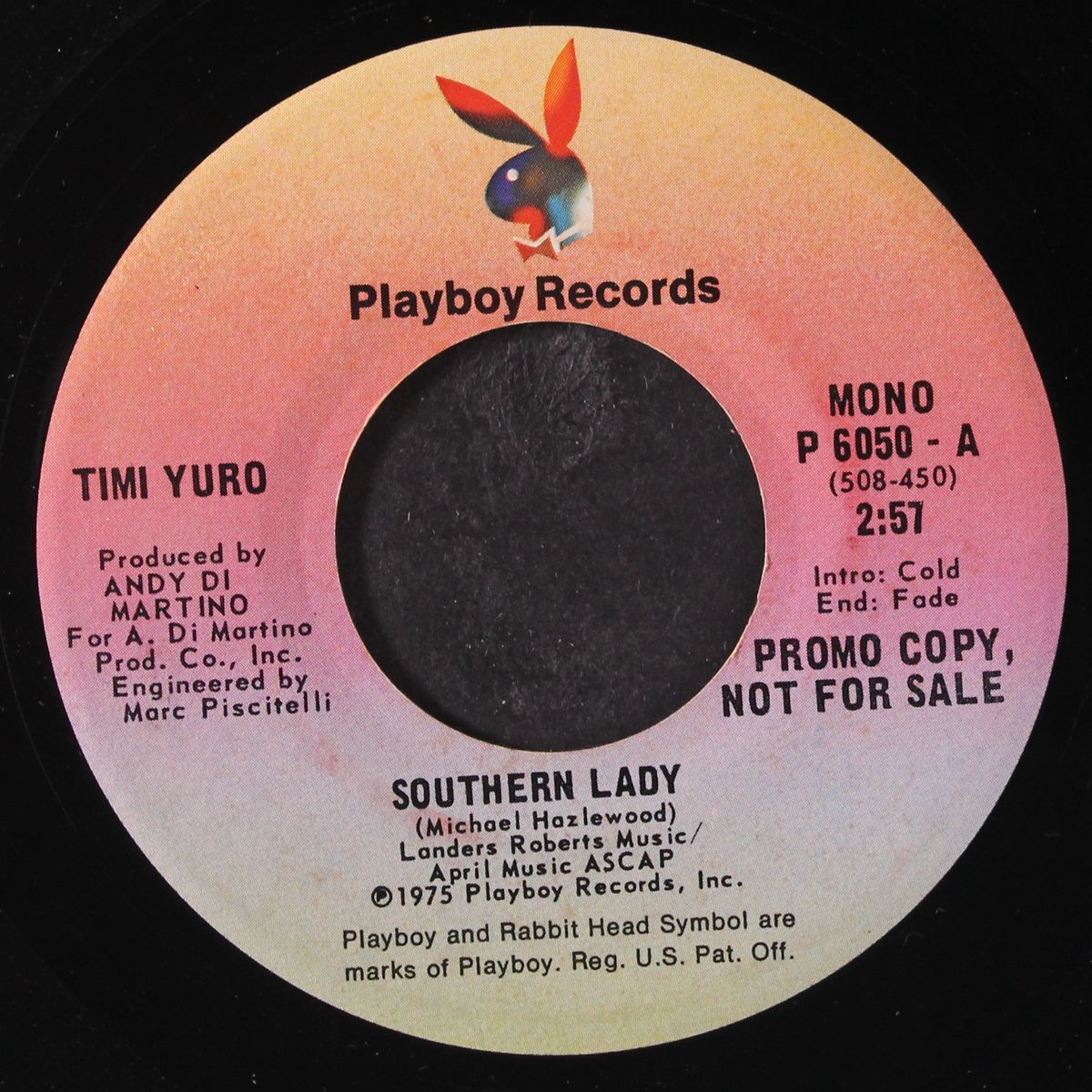 southern lady / mono by TIMI YURO