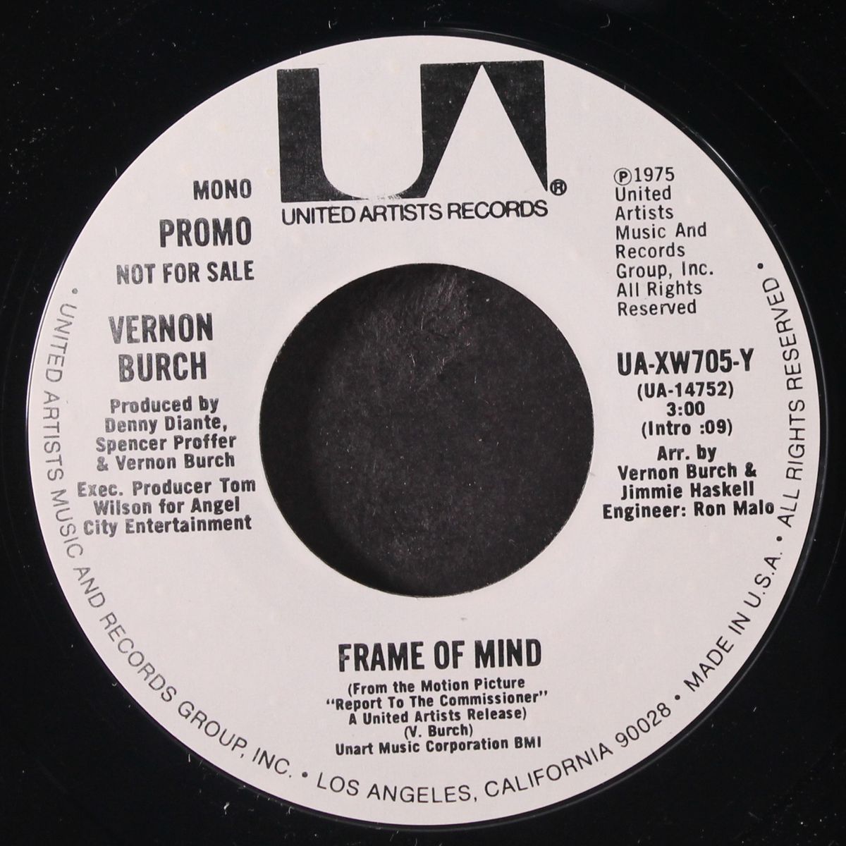frame of mind / mono by VERNON BURCH