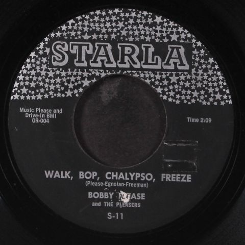 BOBBY PLEASE & PLEASERS