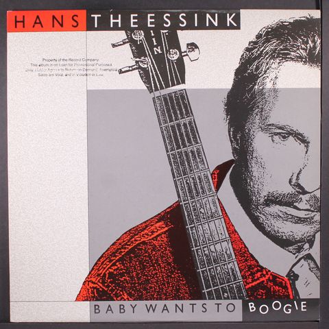 HANS THEESSINK